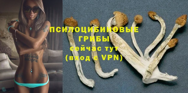 бошки Каменногорск